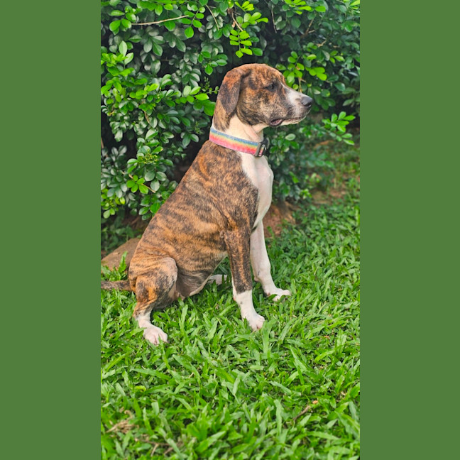 Photo of Catia
