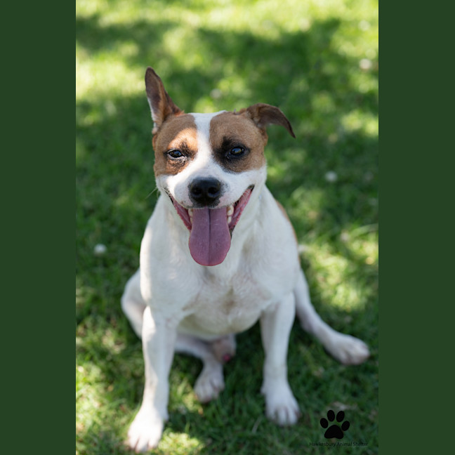 Photo of Monty