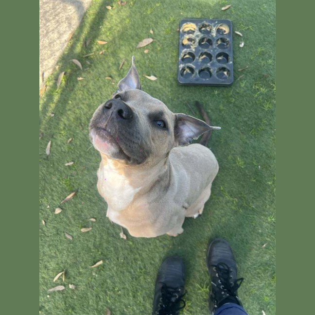 Photo of Zeus