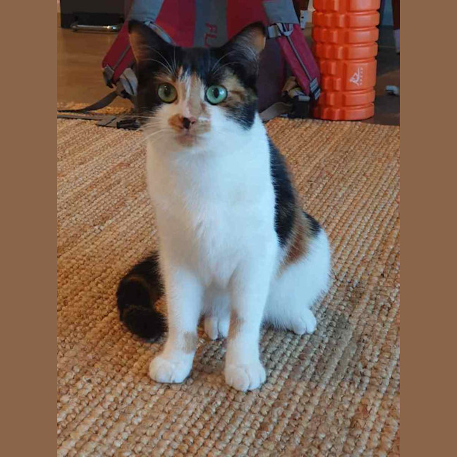 Photo of Marble