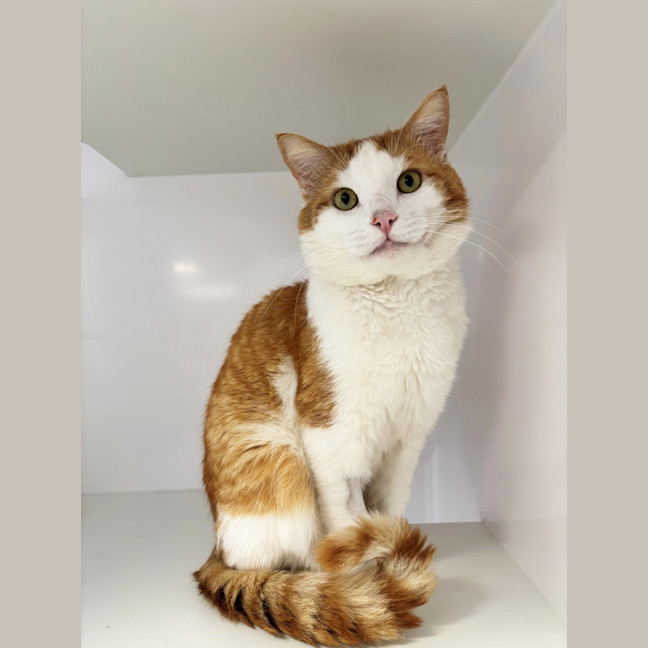 Photo of Patrick Sta014428