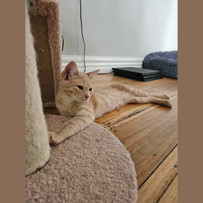 Photo of Ginny ❤️