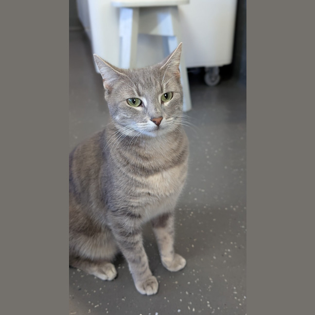 Photo of Athena