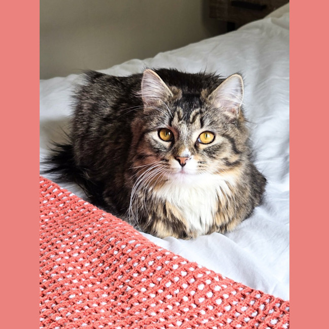Photo of Alice
