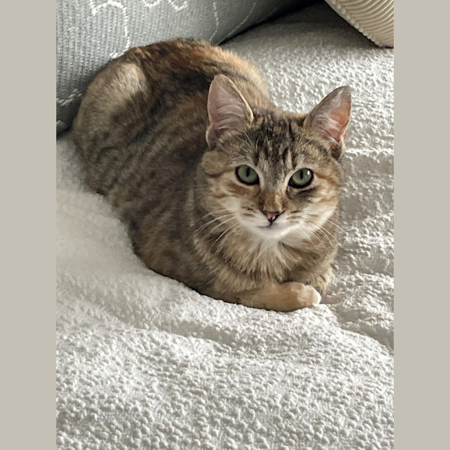 Photo of Misha