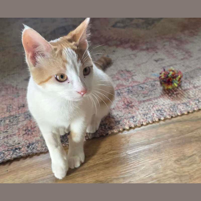 Photo of Spike