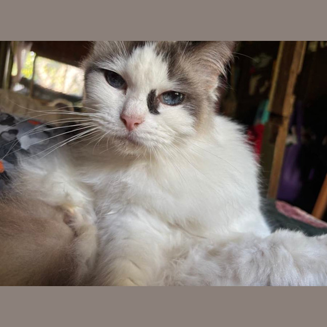 Photo of Gypsy And Harbor