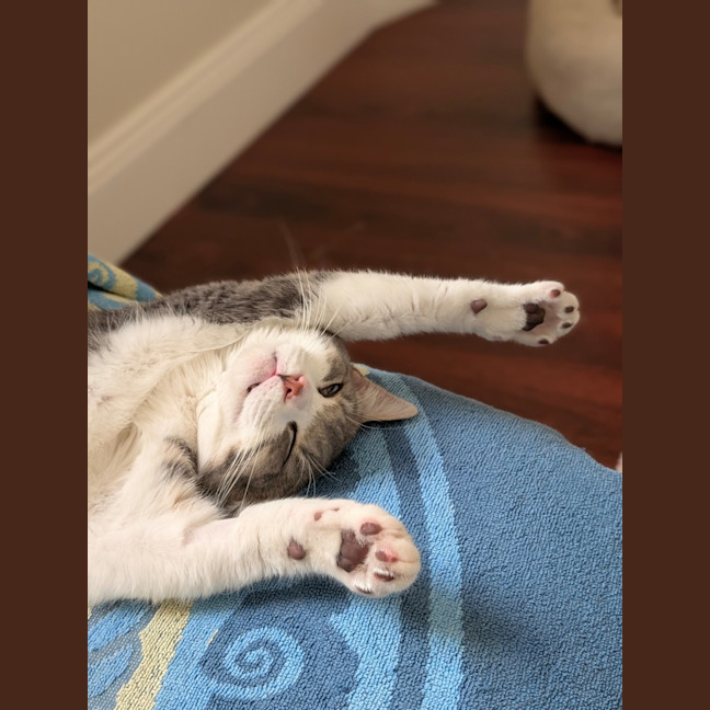 Photo of Chicken Salt