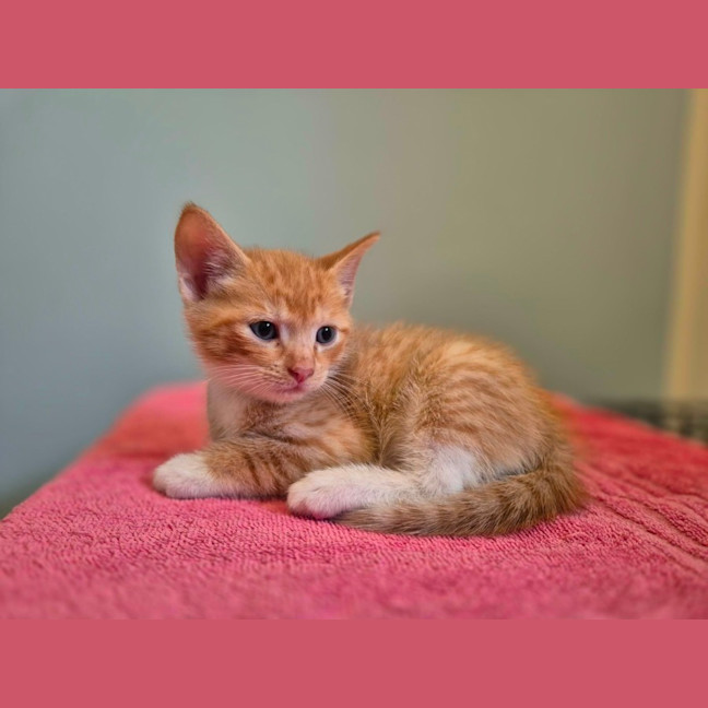 Photo of 🧡 Cinnabon 🤍