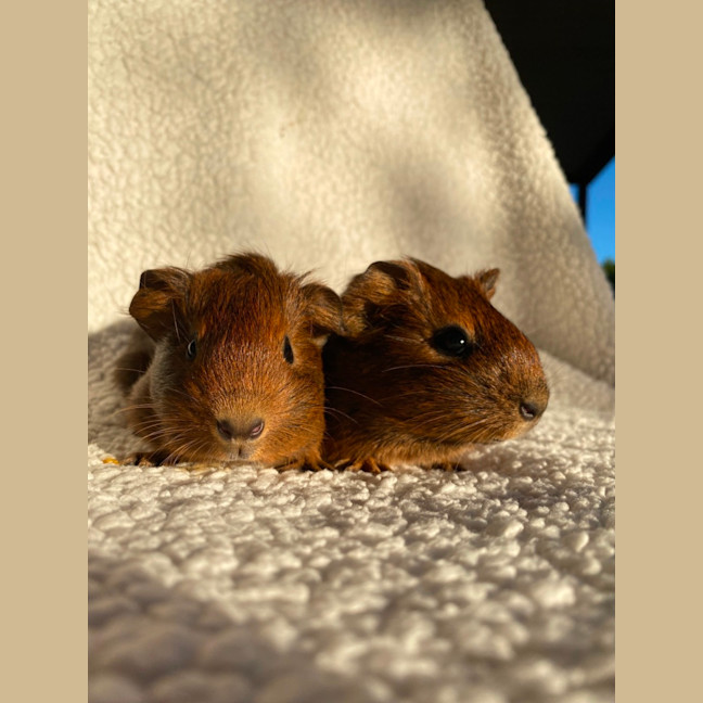 Photo of Lucia & Maria