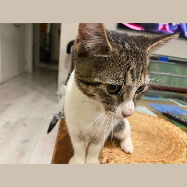 Photo of Ginny (Weasley) Of Harry Potter Fame