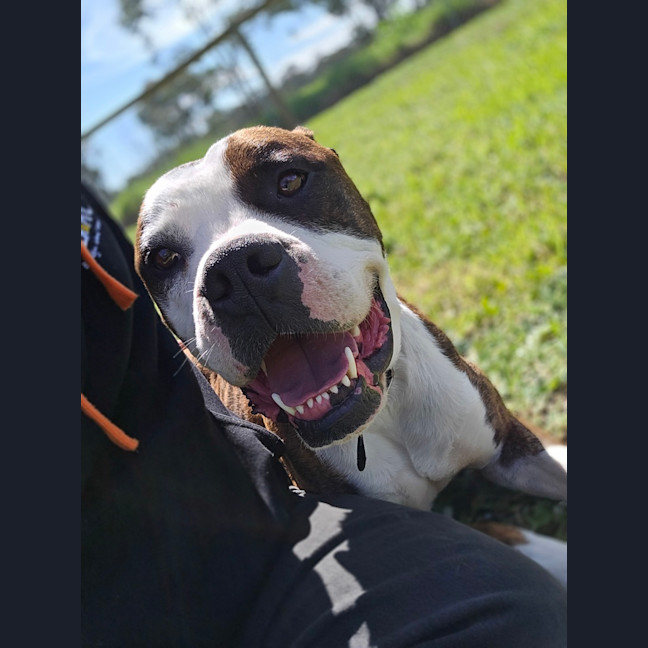 Photo of Tank