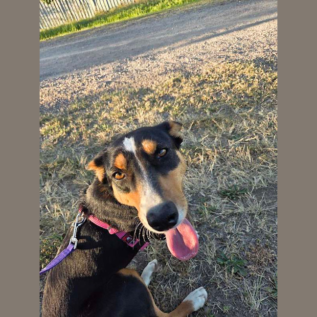 Photo of Roxy
