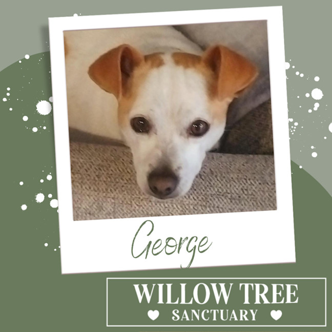 Photo of George