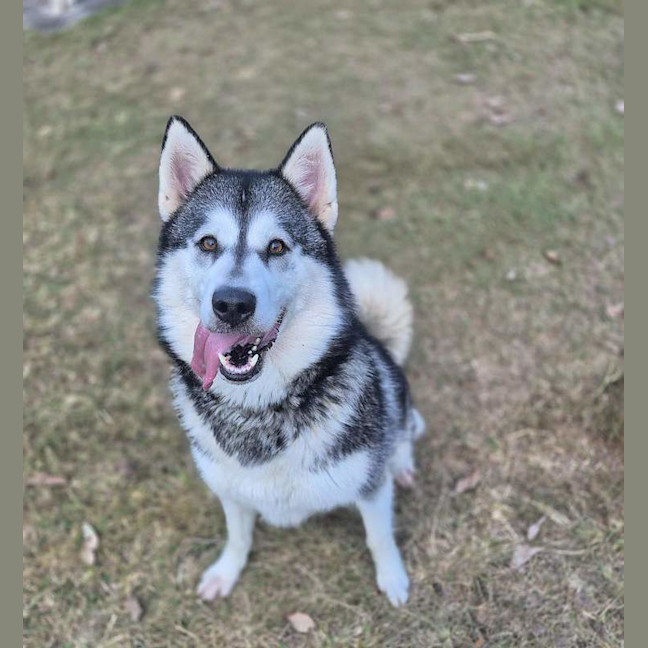Photo of Delilah