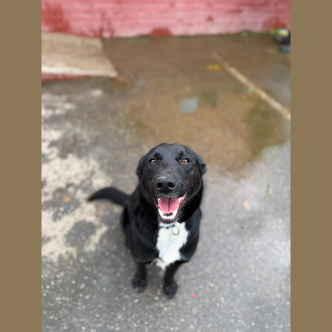 Photo of Sally