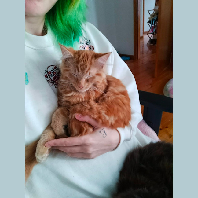 Photo of Paprika