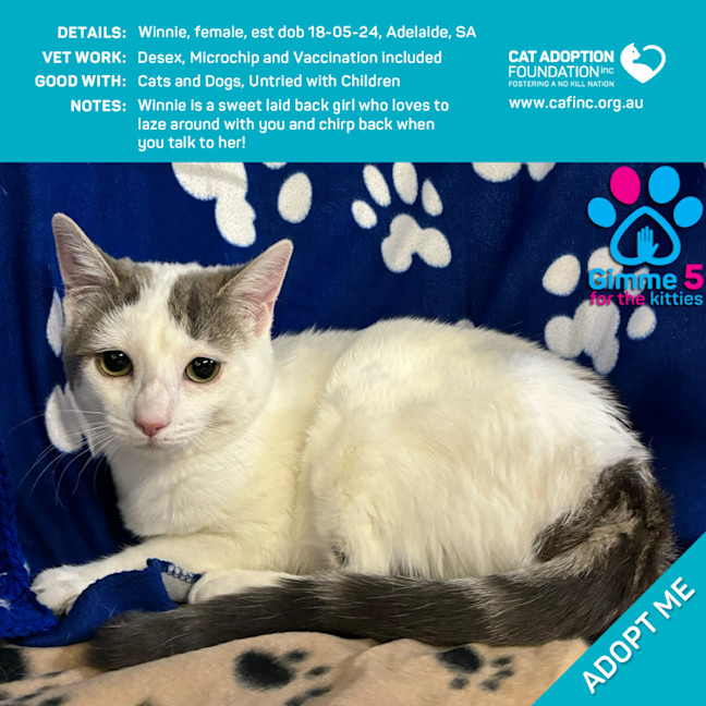 Photo of Winnie Just $50 Limited Time!