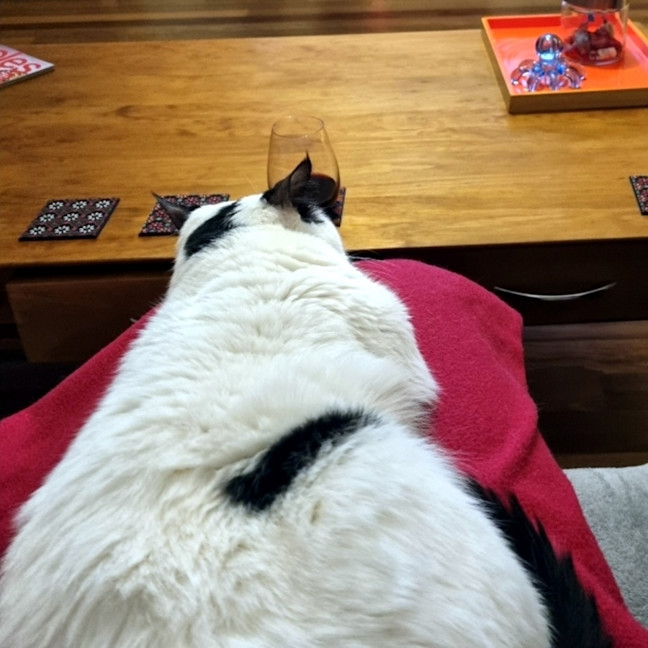 Photo of Chaplin Sta012252