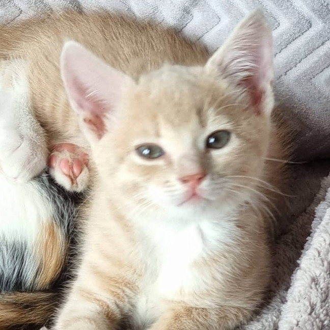 Photo of Lenny Baker