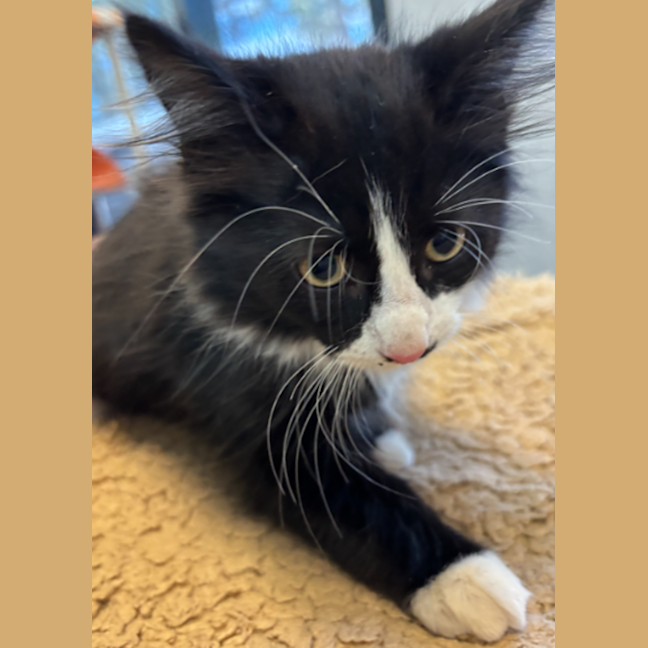 Photo of New Approach