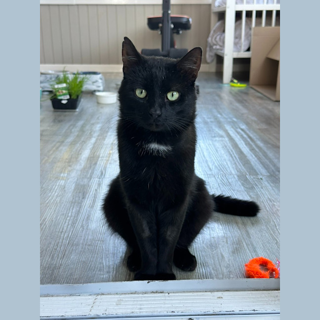 Photo of Tony