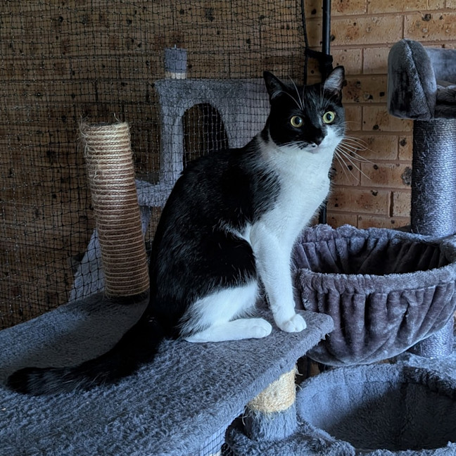 Photo of Lexi