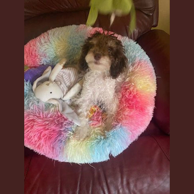 Photo of Harmony ☺️