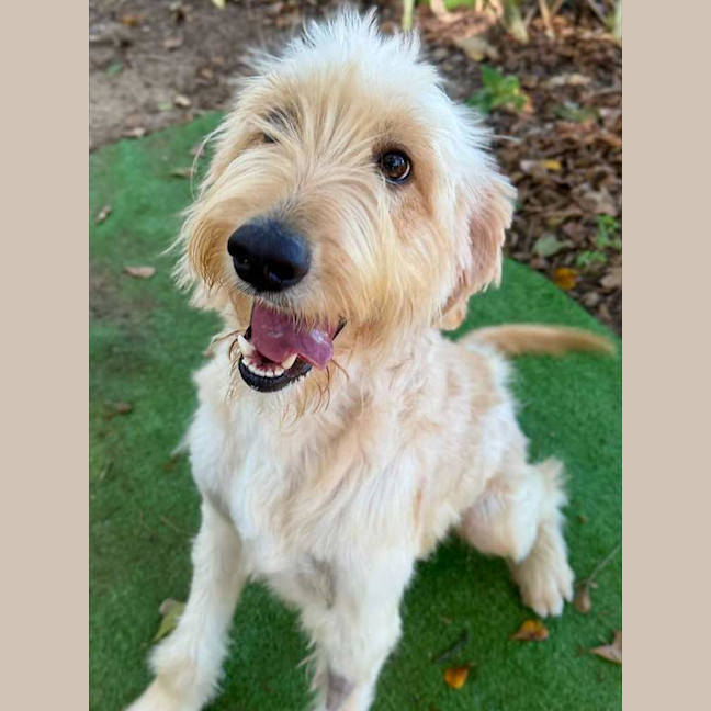 Photo of Digby