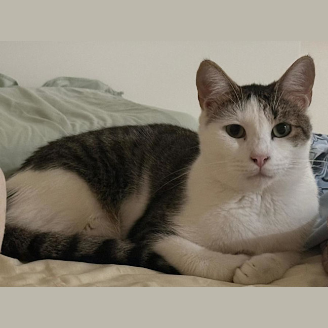 Photo of Mia Boy