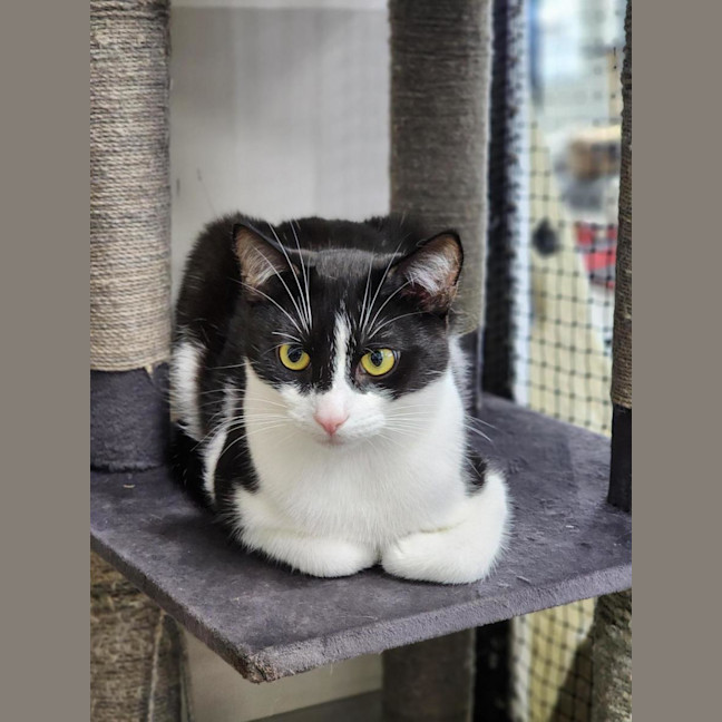 Photo of ⚓ Albie 6597 ⚓ 