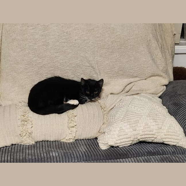 Photo of Dotty