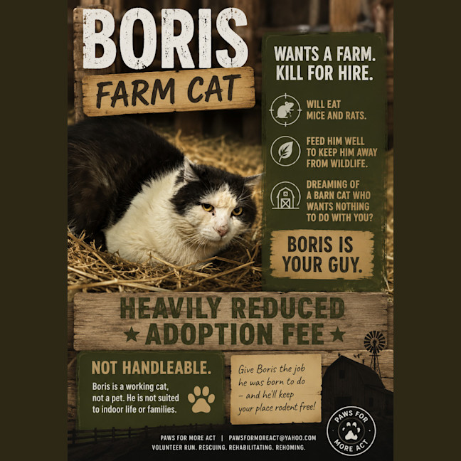 Photo of Boris