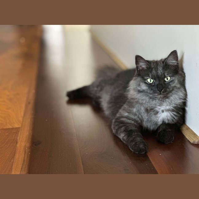 Photo of Amelia 🩷