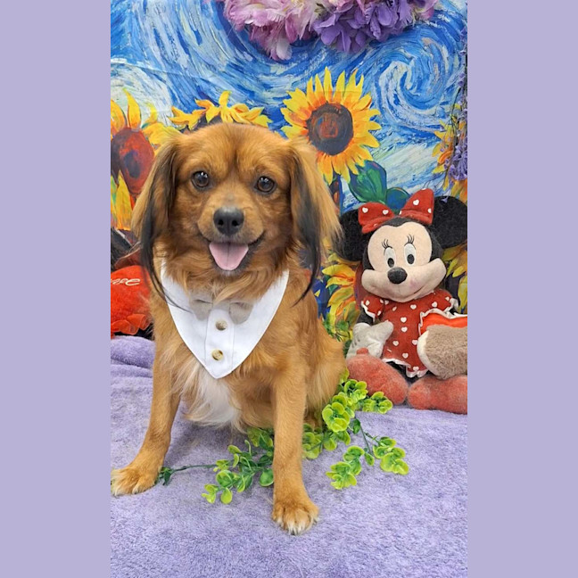 Photo of Max
