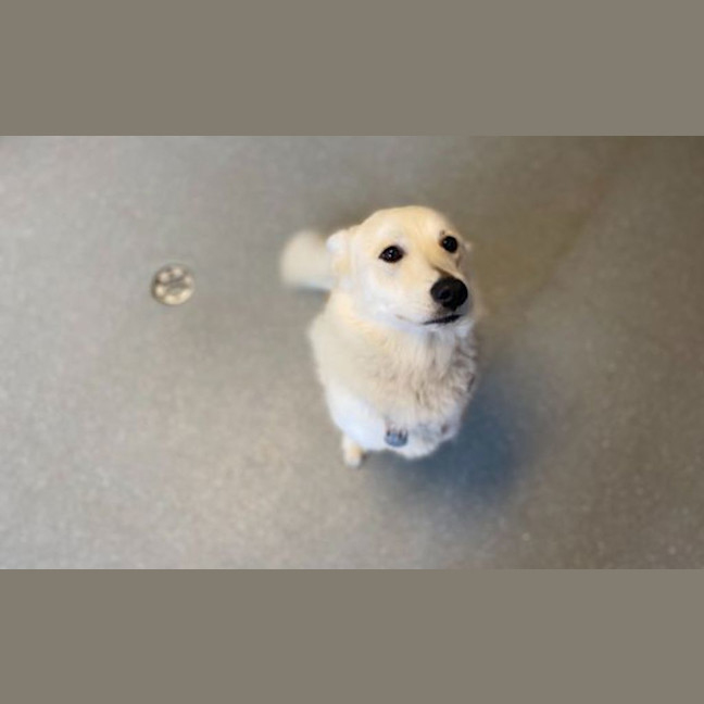 Photo of Tia