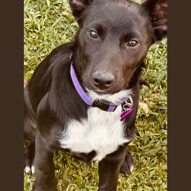 Photo of Molly