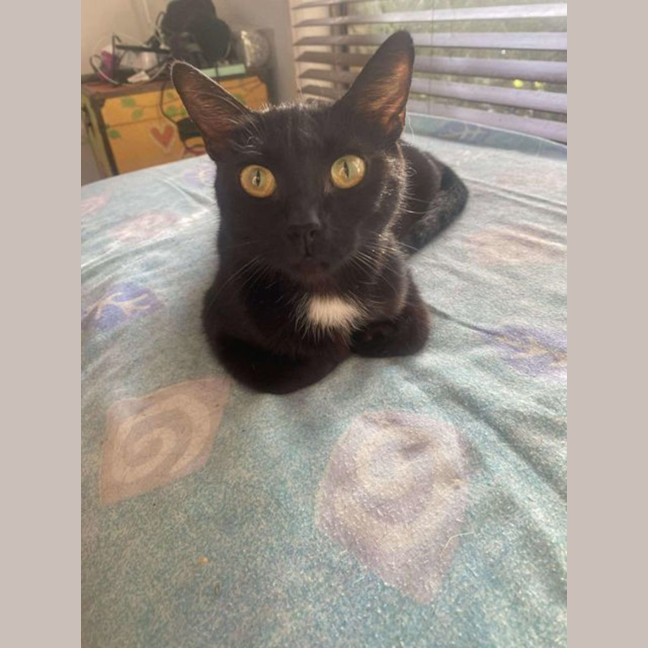 Photo of Princess