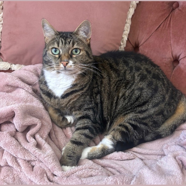 Photo of Lola