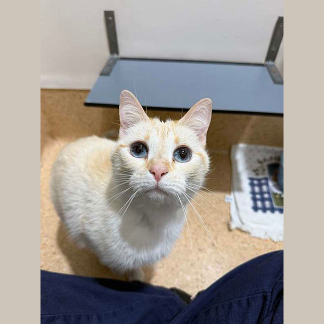 Photo of Alfie