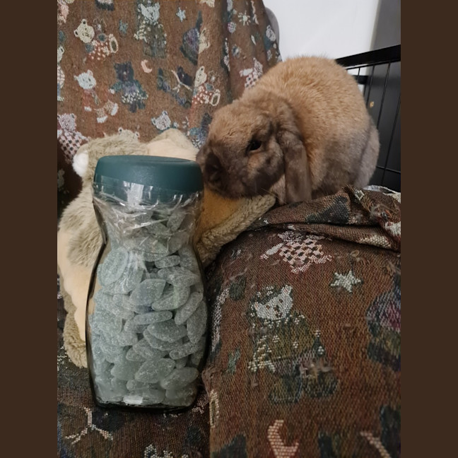 Photo of Ultimate Cookie