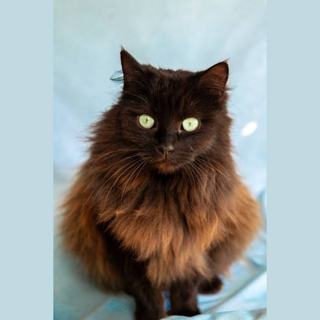 Photo of Ebony & Ivory