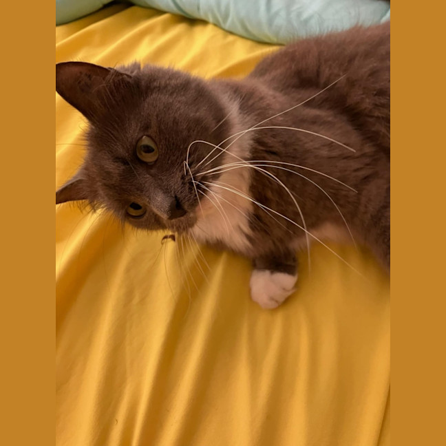 Photo of Abbey