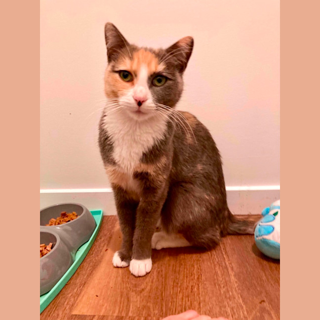 Photo of Sophie