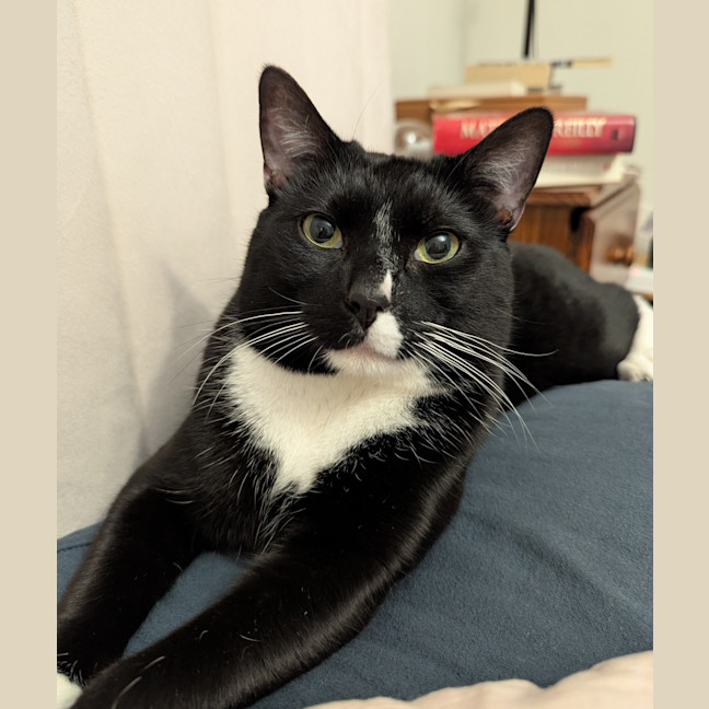 Photo of Binks