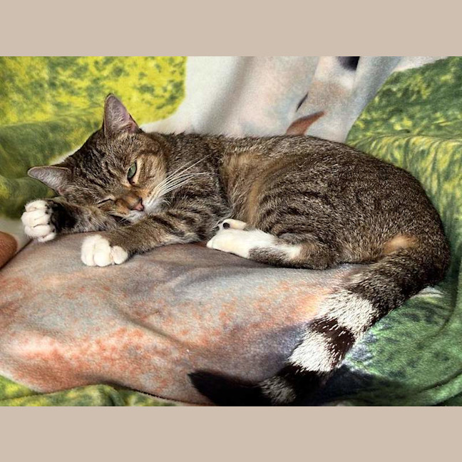 Photo of Lily