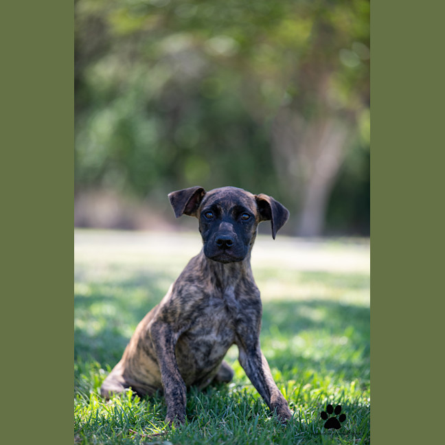 Photo of Maggie