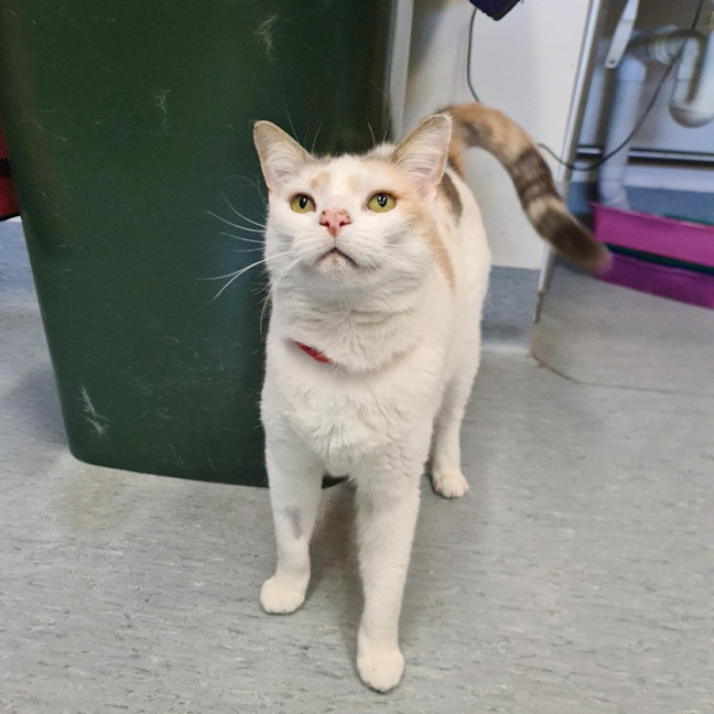 Photo of Mildred