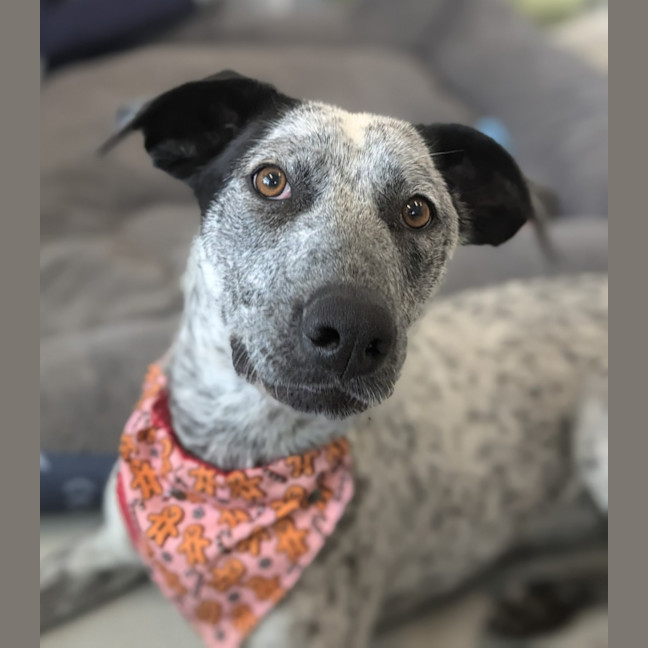 Photo of 🎀 Monica 5585 🎀