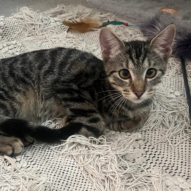 Photo of Reggie